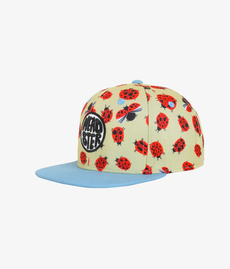 Lady bug