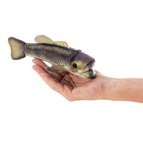 FP Bass
