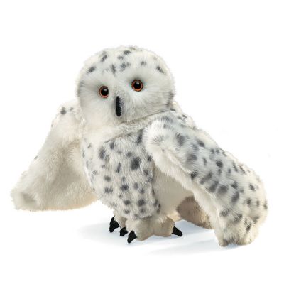 Snowy Owl