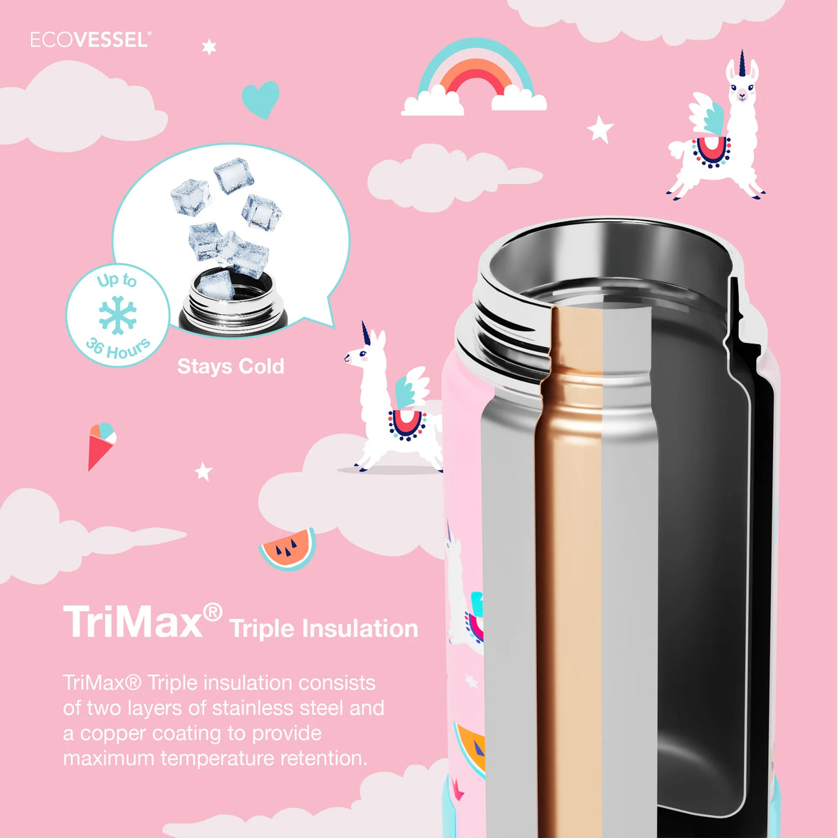 Eco vessel water Bottle