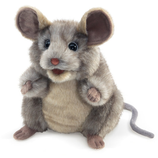 Grey Mouse