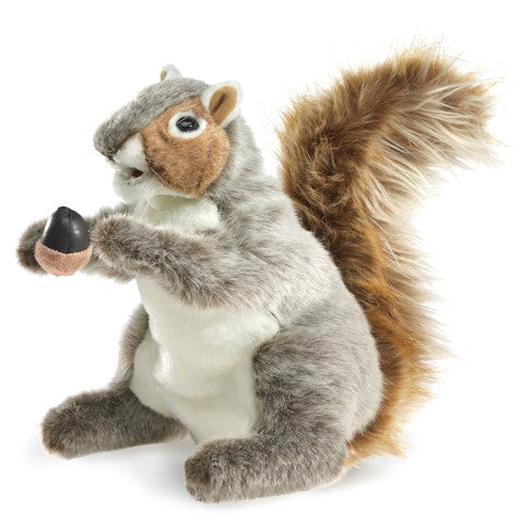 Grey Squirrel